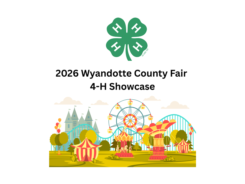 Fair Logo